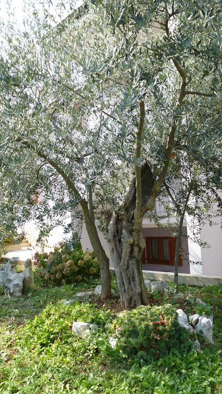 Apartments Libera Porec Exterior photo